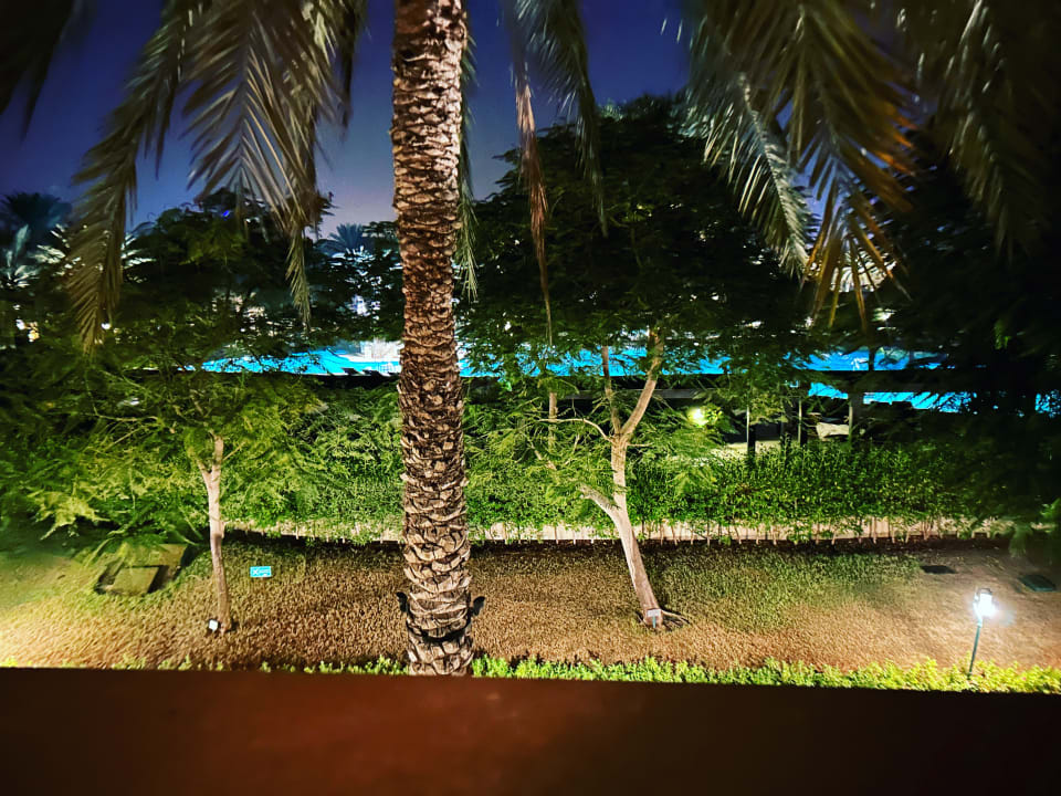 Außenansicht Miramar Al Aqah Beach Resort