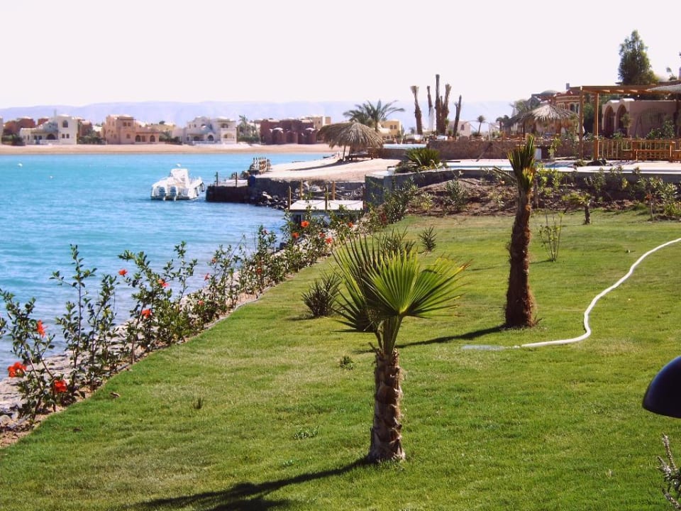 Es grünt so grün... Hotel Three Corners Ocean View prestige - Adults only