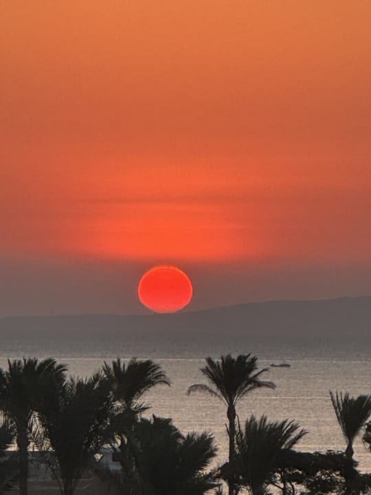 Ausblick Steigenberger Aqua Magic