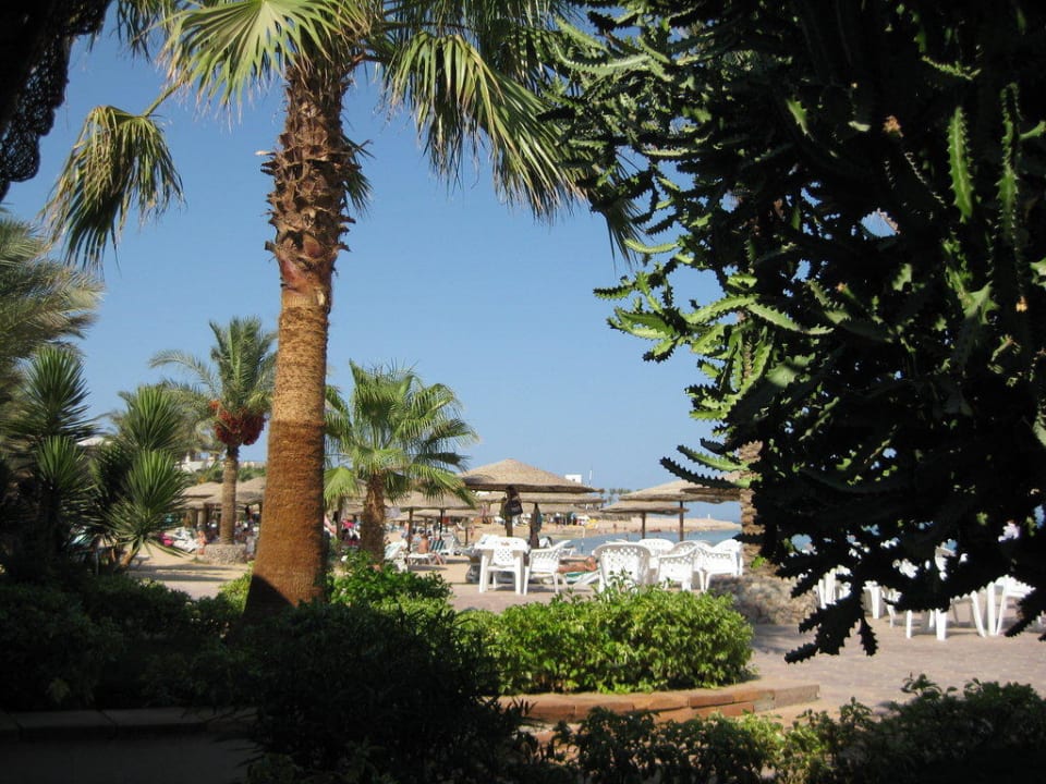 Sonnentag Fort Arabesque Resort, Spa & Villas