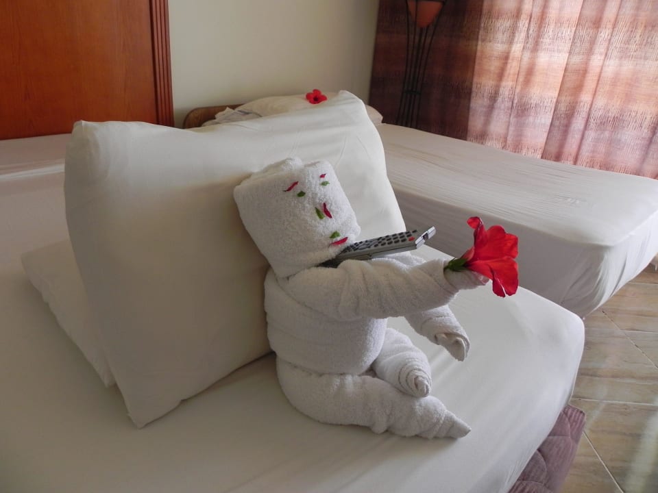 Šikovný pokojský Malikia Resort Abu Dabbab