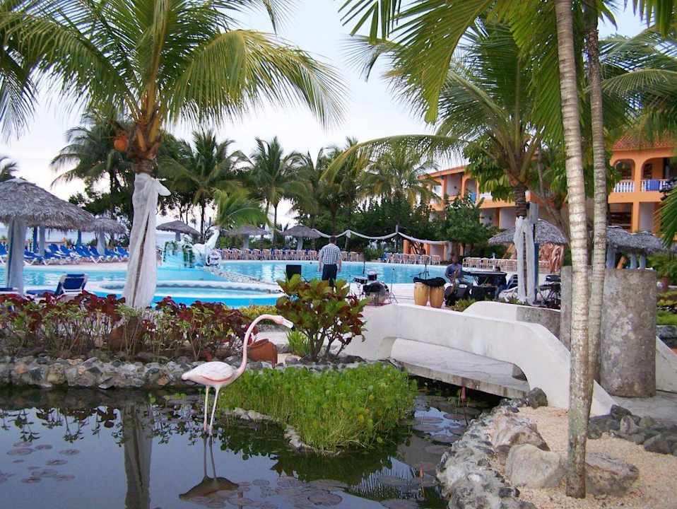 Garten/Poolanlage Sol Rio De Luna y Mares