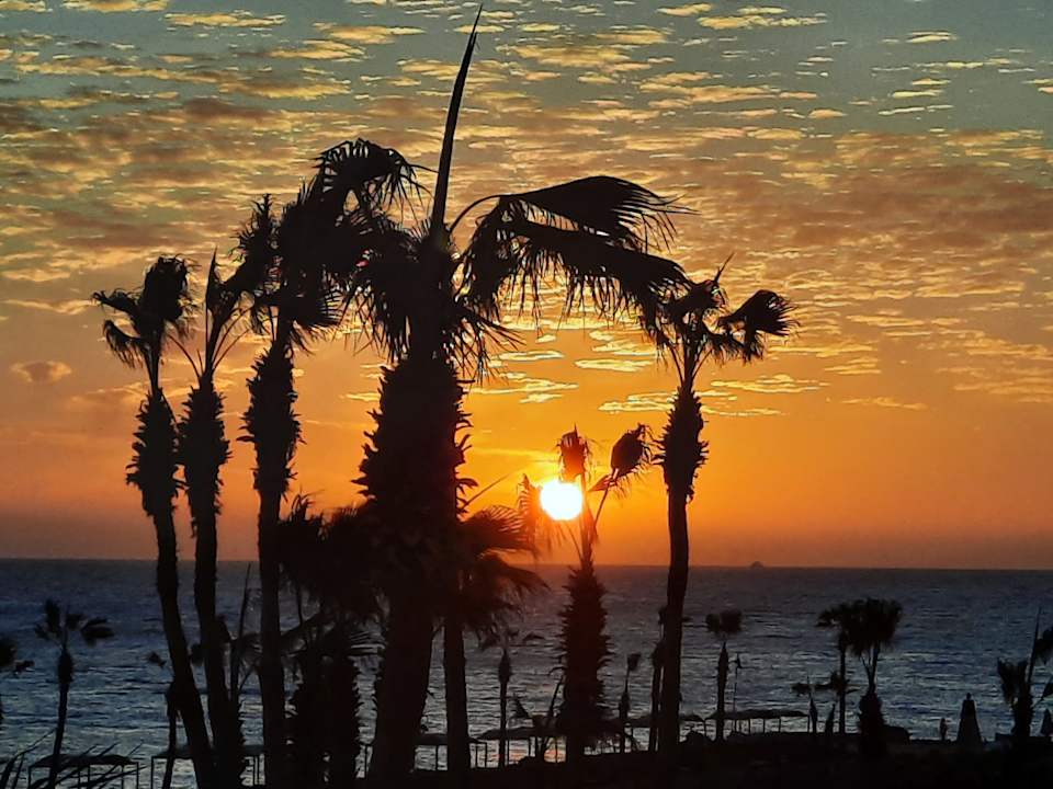 Ausblick Pickalbatros Citadel Resort