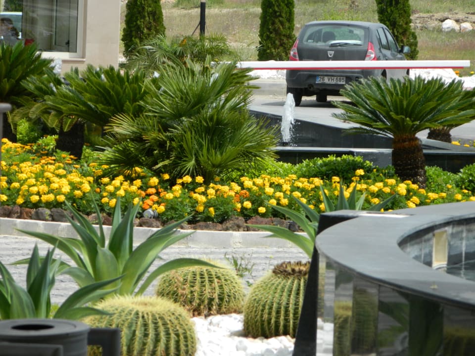 Sehr gepflegte Anlage Diamond Excellence Resort & Spa