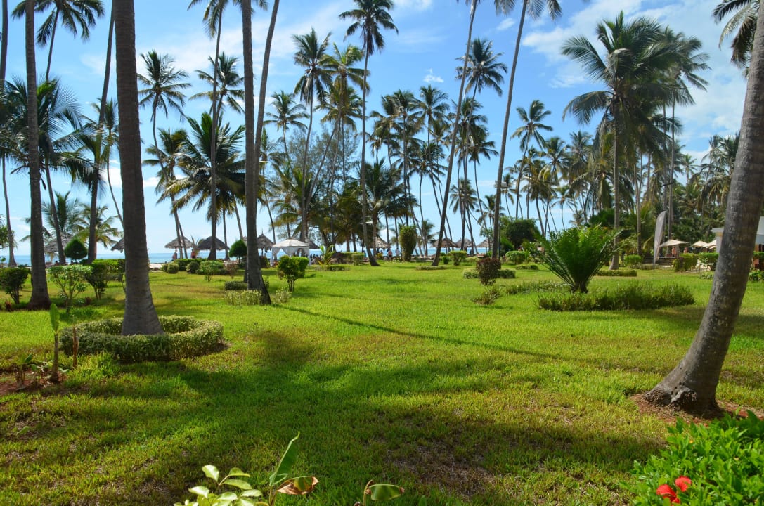 Garten TUI Blue Bahari Zanzibar