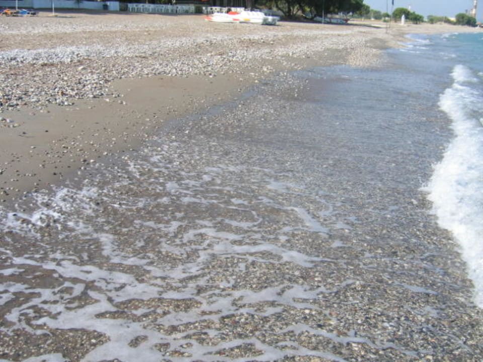 Strand vom Alex Beach TUI KIDS CLUB Alex Beach