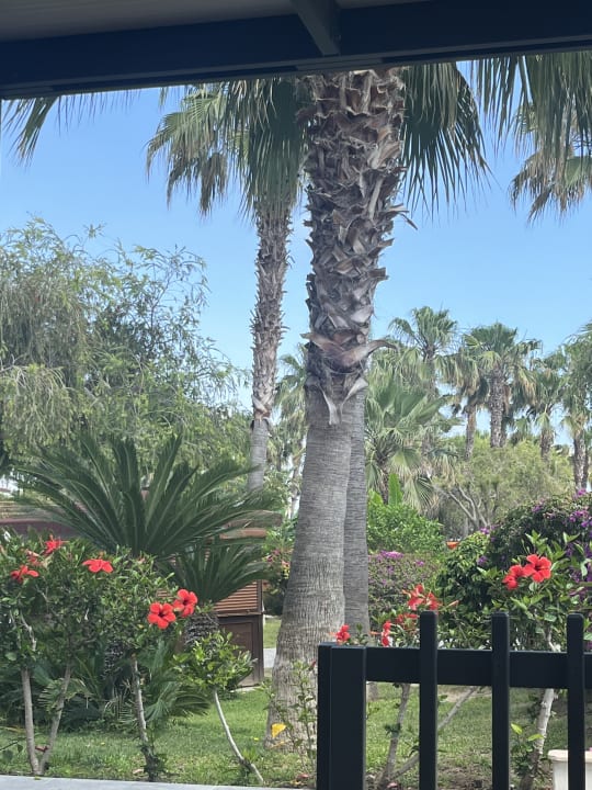 Gartenanlage VONRESORT Golden Coast