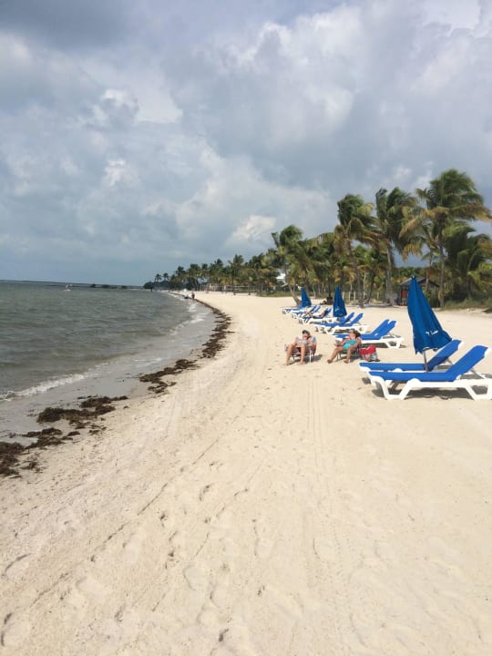 Stand Hotel Sheraton Suites Key West