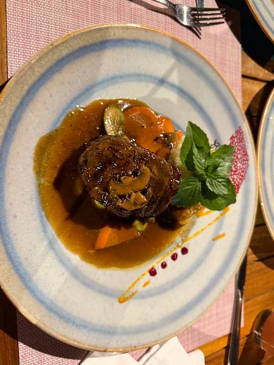 Gastro JAZ Elite Asteria
