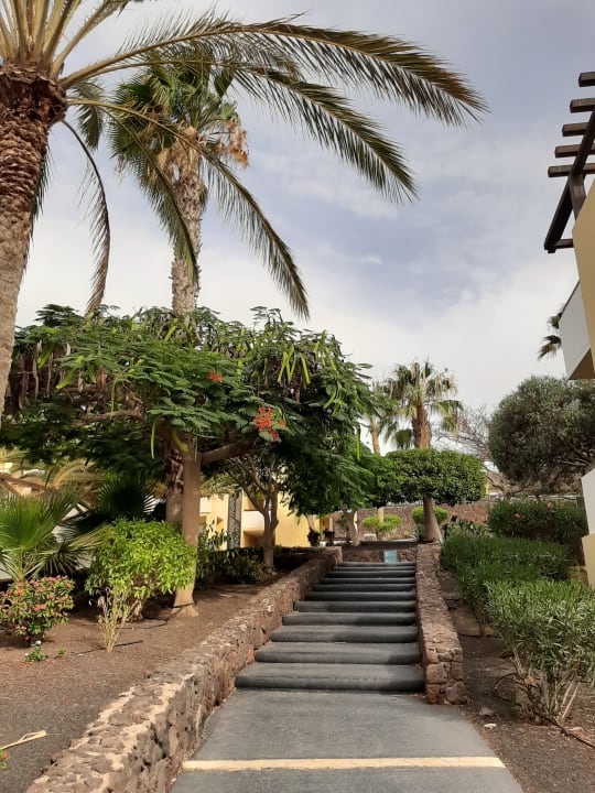 Gartenanlage Occidental Jandía Royal Level - Adults only