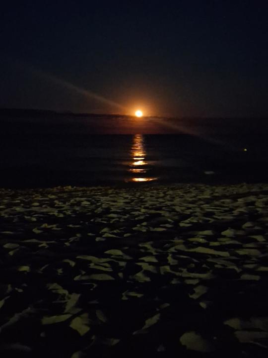 Sonstiges Maritim Hotel Paradise Blue Albena