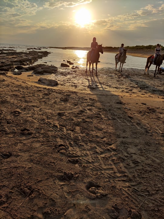 Sport & Freizeit Well Palace Side