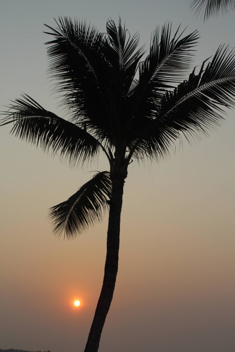 Sonnenaufgang Pavilion Samui Villas & Resort