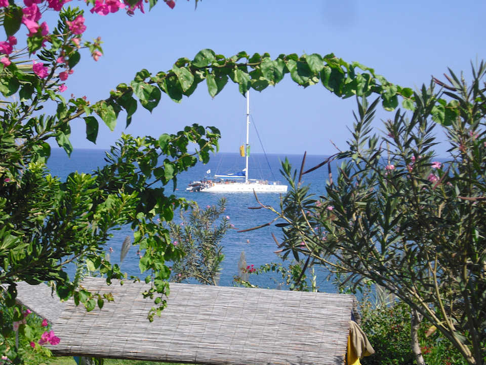 Traumhafter Ausblick vom Garten aus Crystal Springs Beach Hotel