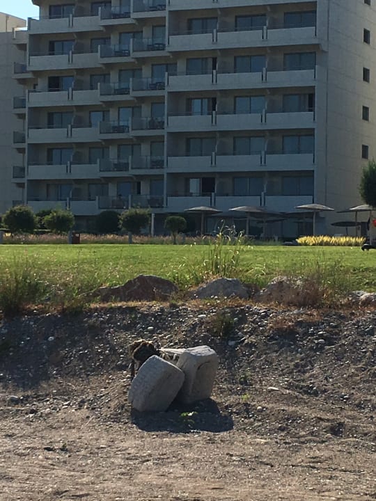 Außenansicht Elysium Resort & Spa Hotel