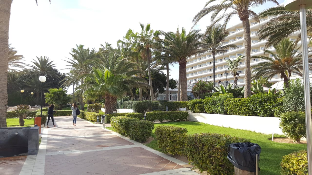 Hotel Hotel Riu Oliva Beach - Hotel