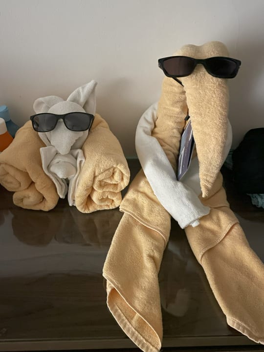 Zimmer Hotel Riu Palace Maldivas