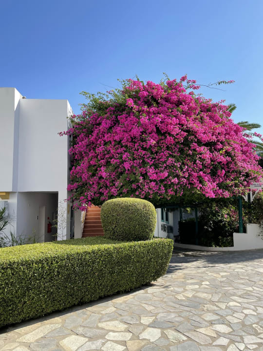 Gartenanlage Mastichari Bay Hotel