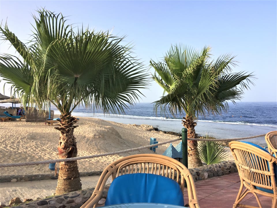 Gastro Sentido Akassia Beach
