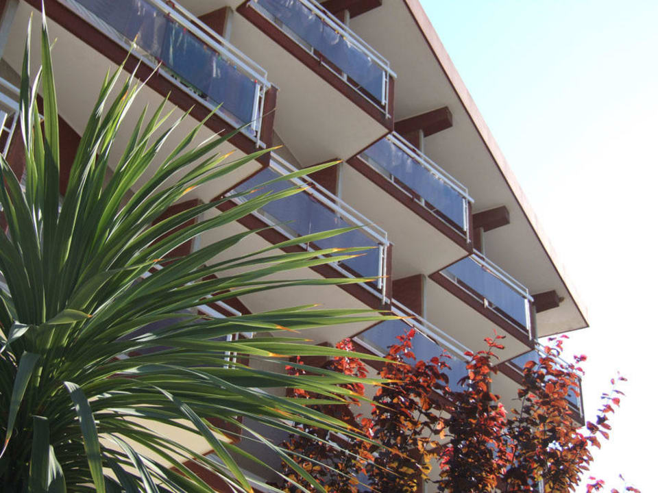 Vista esterna dell'Hotel Petronio Hotel Petronio