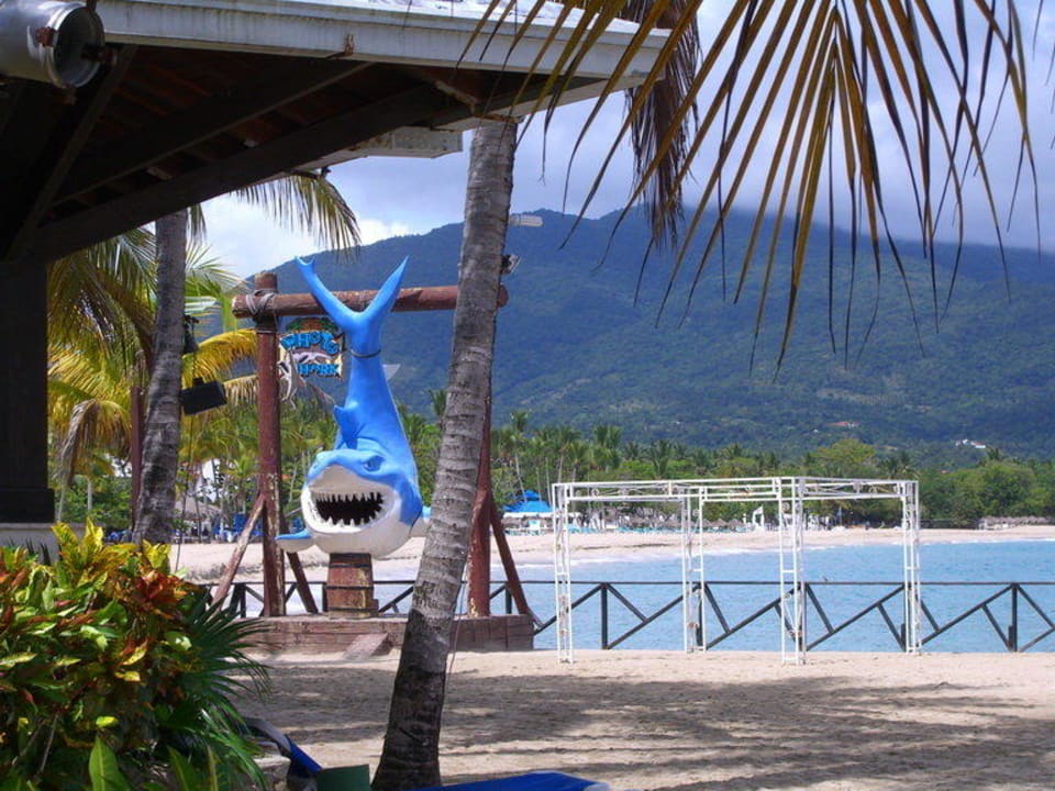 Direkt neben dem Restaurante Grand Paradise Playa Dorada