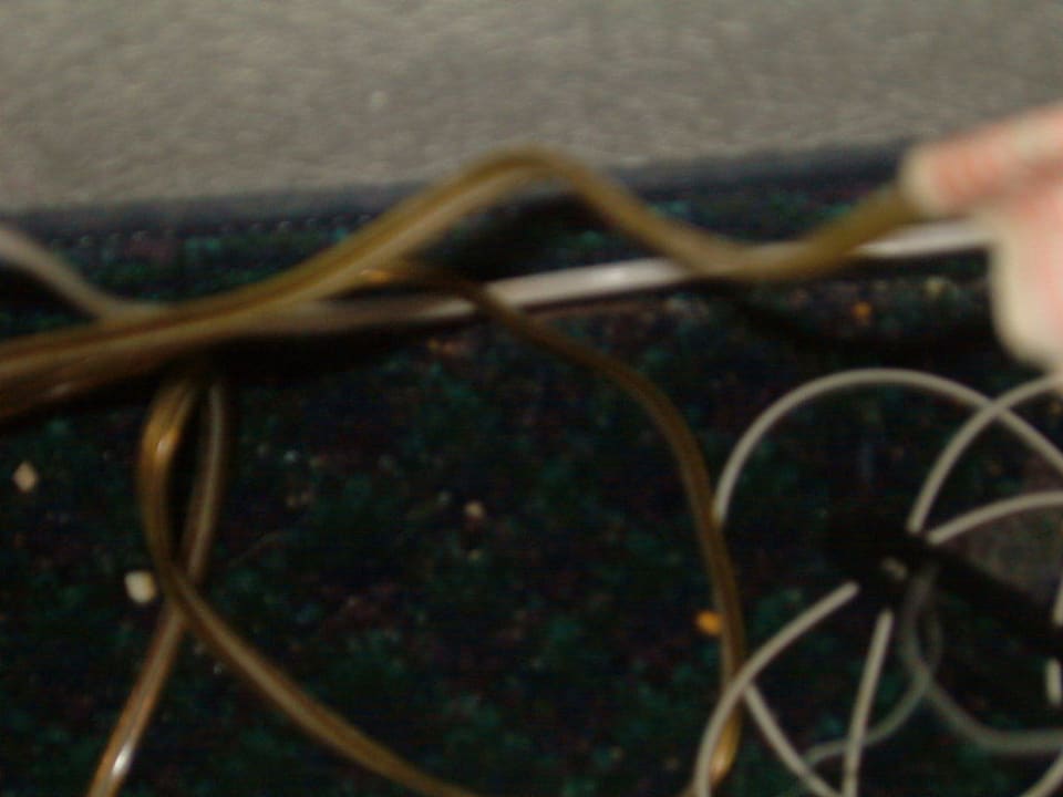 Schmutz hinterdem Nachtschrank Days Inn by Wyndham Orlando Conv. Center/International Dr