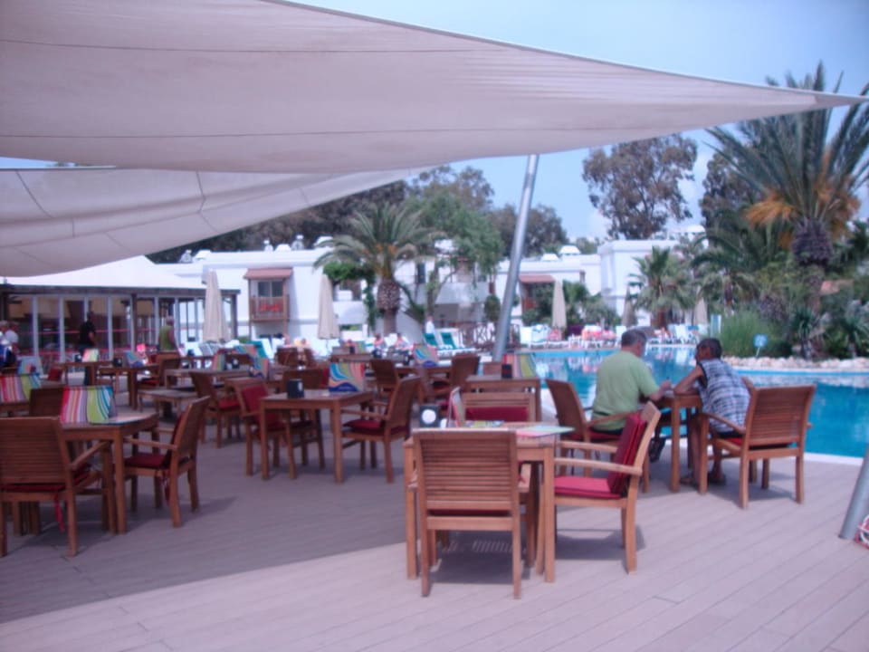 Bar am Pool Very Chic Bodrum Adult Only