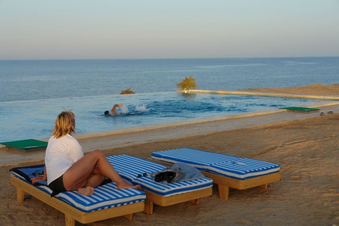 Pool-Anlage The Oasis Dive Resort