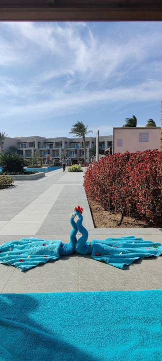 Pool Steigenberger Resort Ras Soma