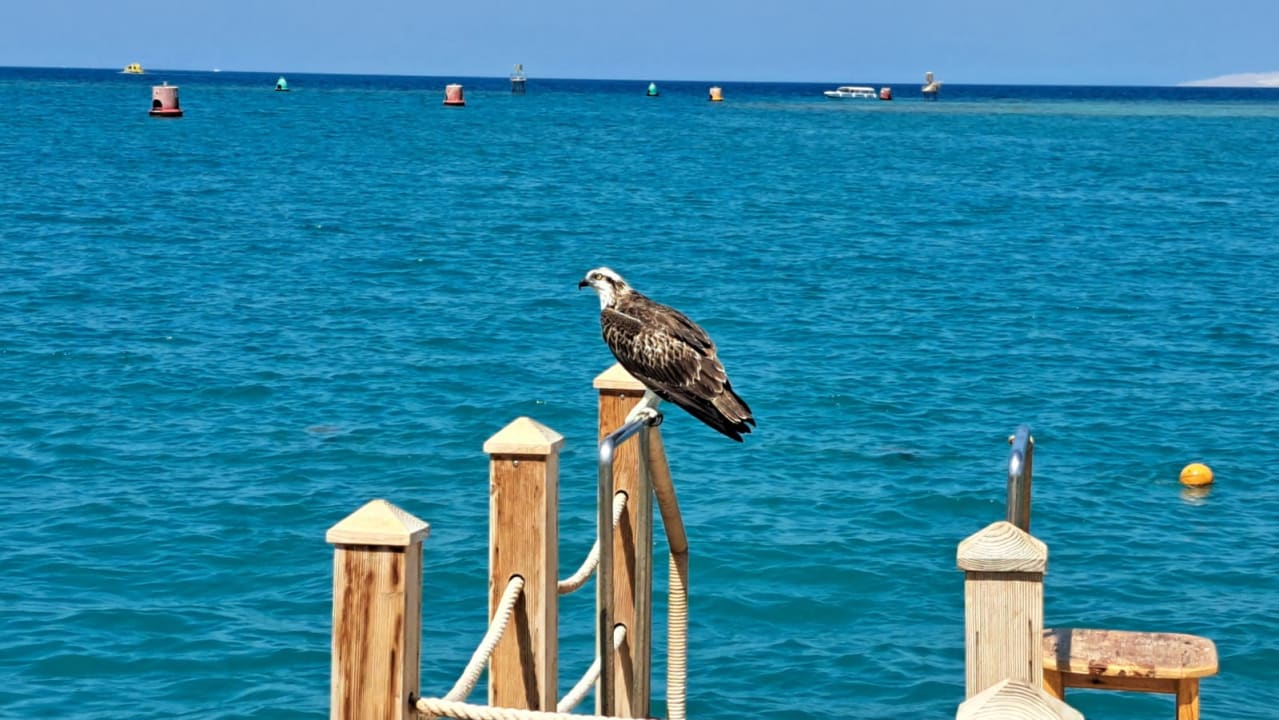 Strand Hotel Three Corners Ocean View prestige - Adults only