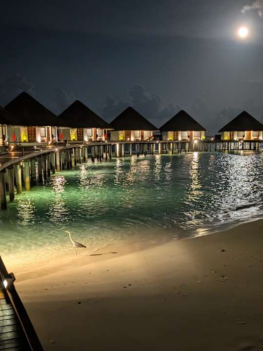 Strand Adaaran Select Meedhupparu Island Resort - Premium All Inclusive