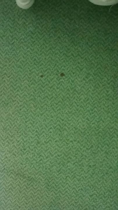 Teppichboden verdreckt Hotel Country Club