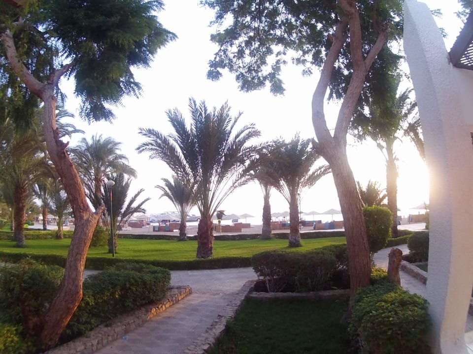 Palms Menaville Safaga