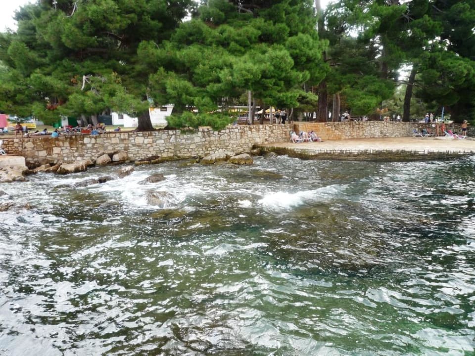 Liegemöglichkeiten am Strand Valamar Parentino Hotel