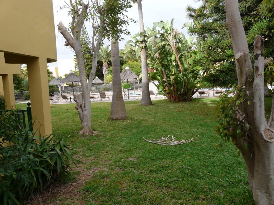 Vista dal mio appartamento Atlantic Garden Beach Mate