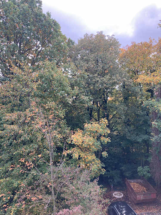 Ausblick Best Western Hotel Windorf