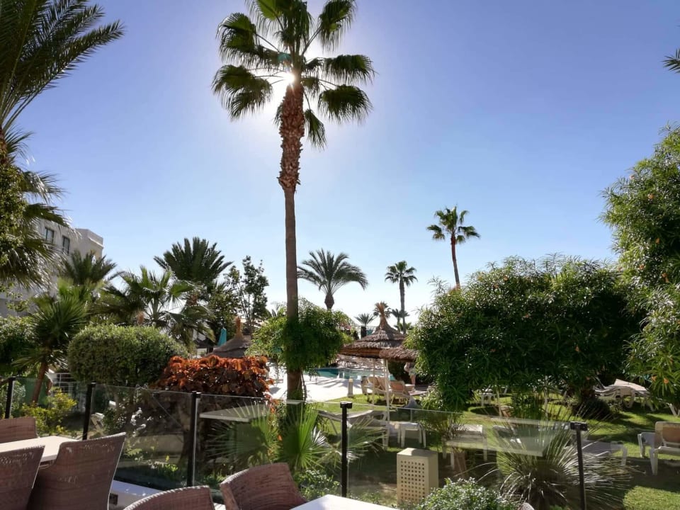 Gartenanlage Nozha Beach Resort & Spa