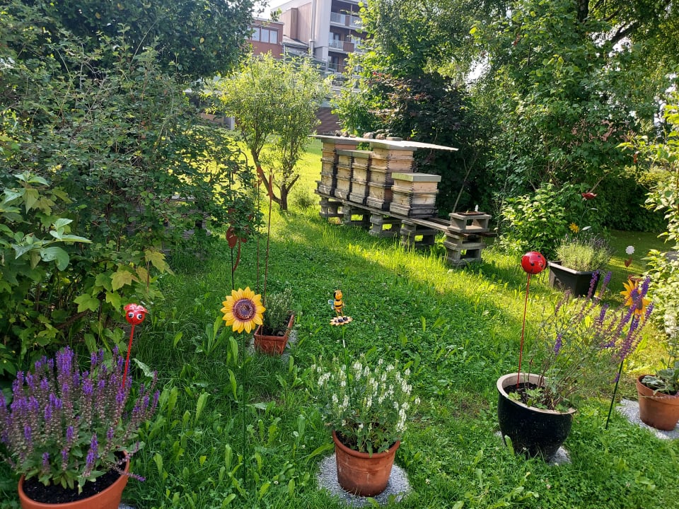 Gartenanlage Dorfhotel Fasching