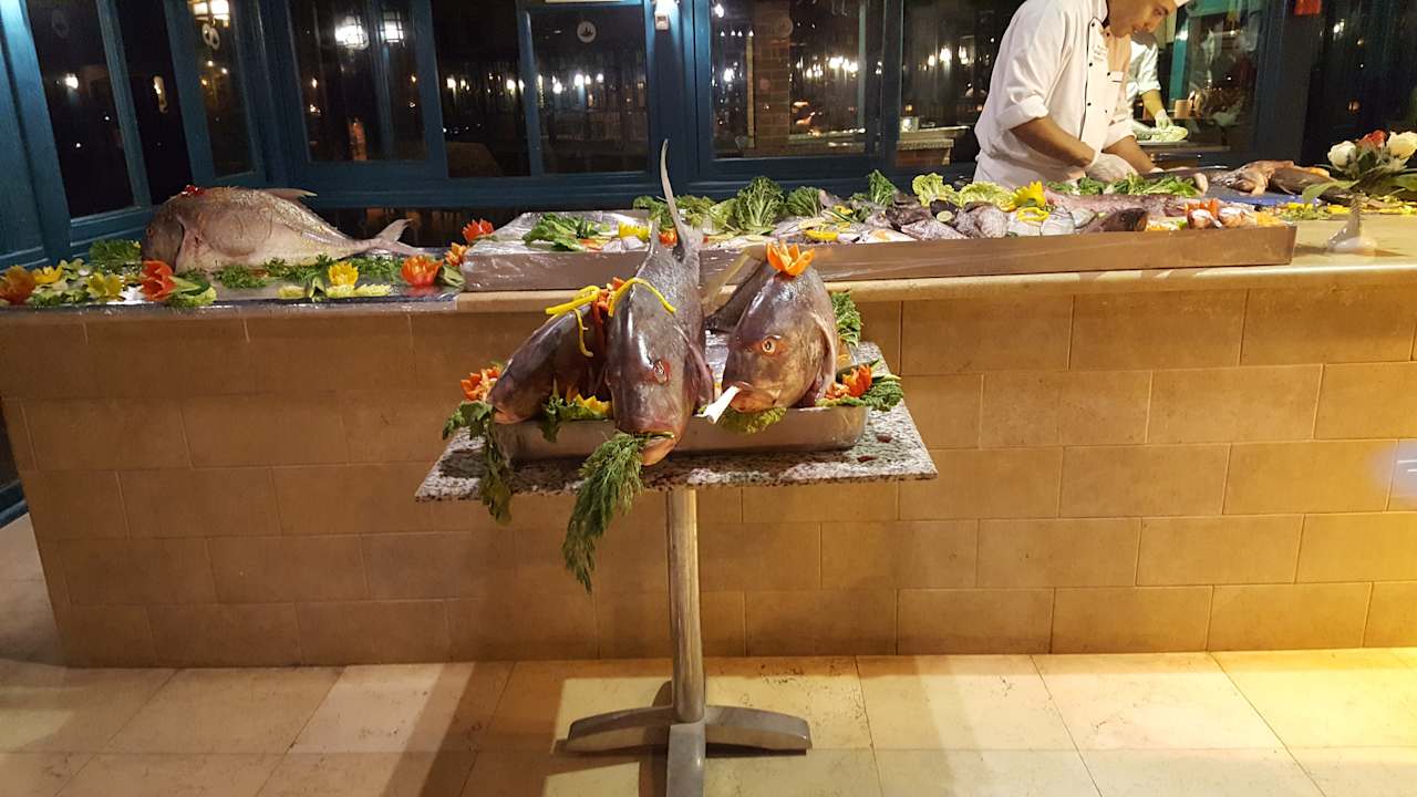 Gastro Club Paradisio El Gouna, Red Sea