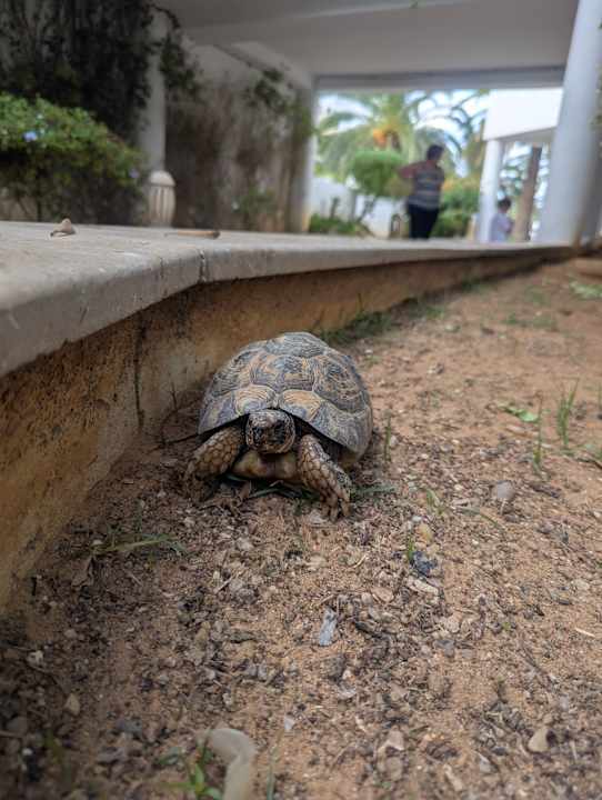 Sonstiges Iberostar Selection Kantaoui Bay