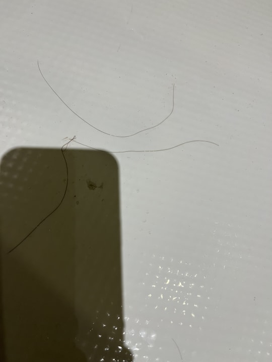 Zimmer Ona Palmira Paguera