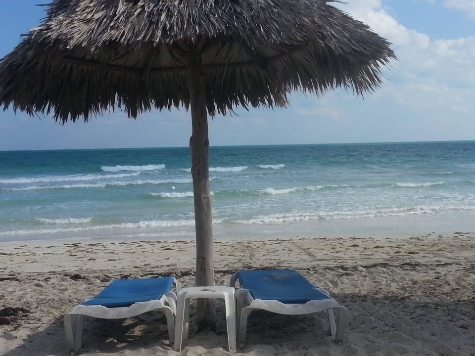 Blick aus zweiter Reihe Melia Marina Varadero