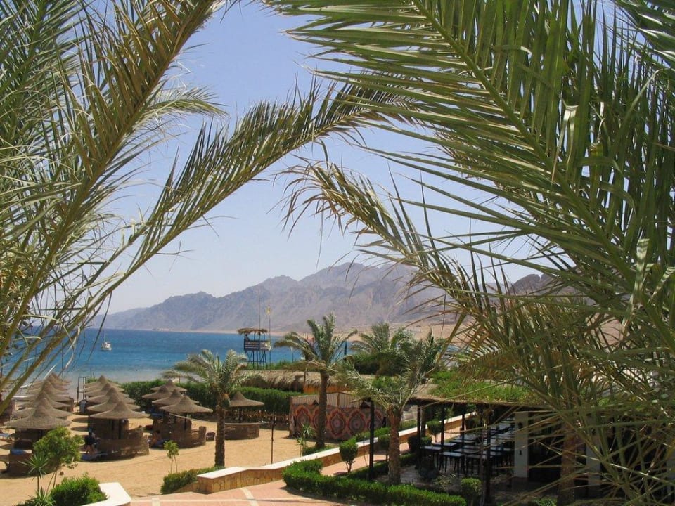 Blick vom Pool zum Strand JAZ Dahabeya