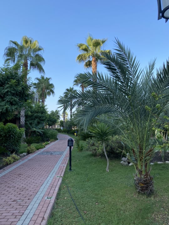 Gartenanlage Seaden Sea World Resort & Spa