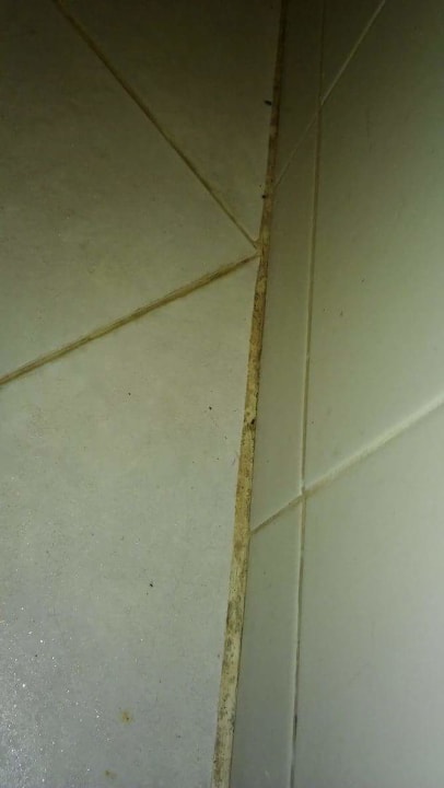 Zimmer The Green Park Resort