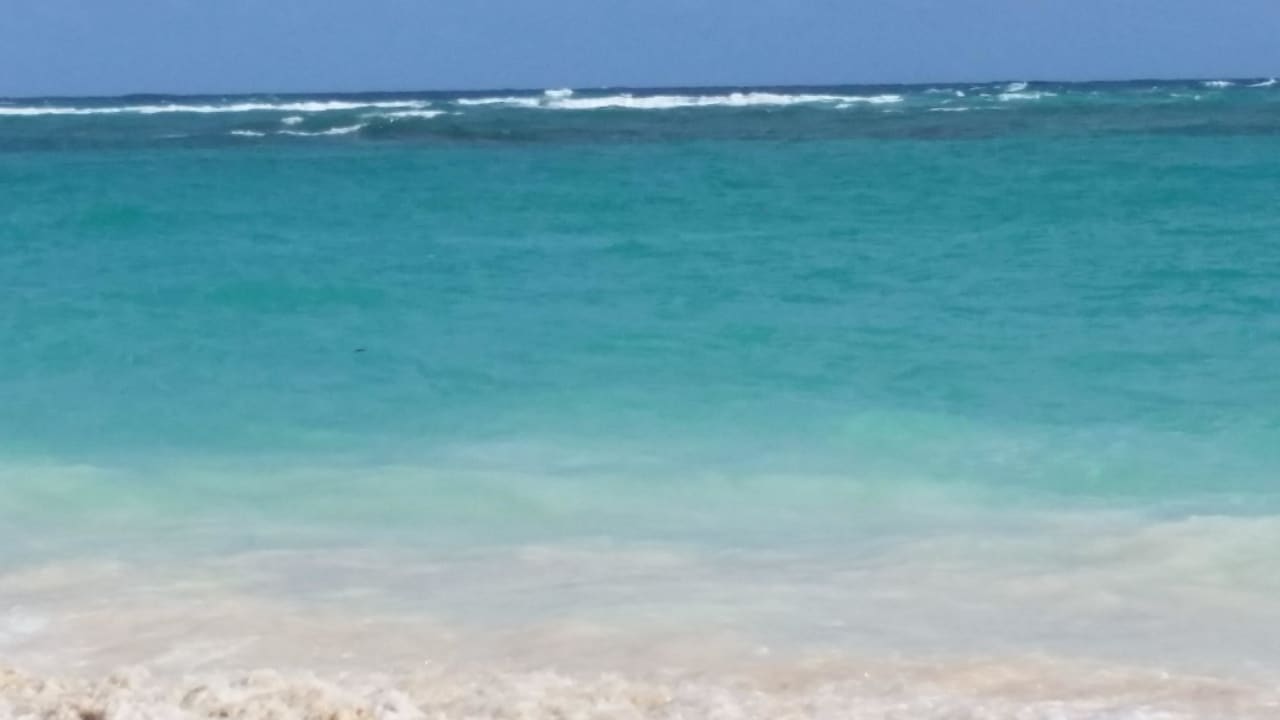 Wunderschönes Meer Hotel Riu Bambu