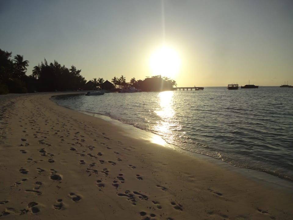 Strand Safari Island Maldives