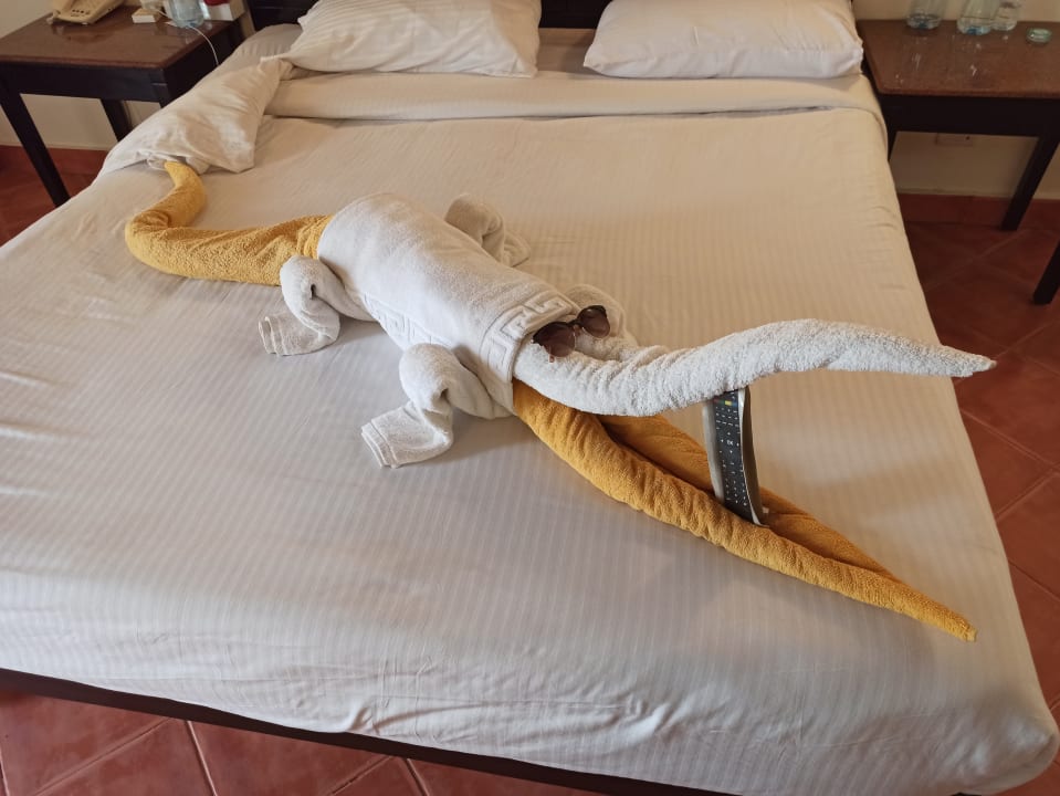 Zimmer Three Corners Sea Beach Resort