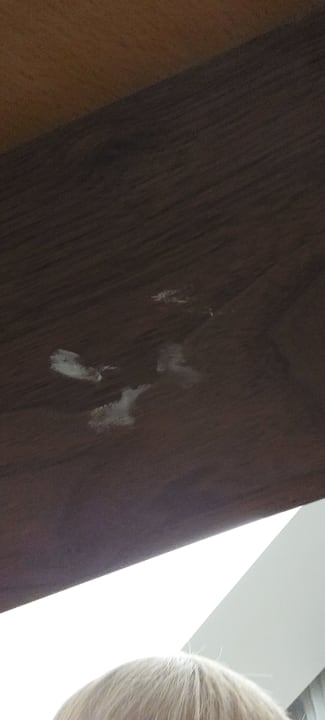 Zimmer Seashell Vega