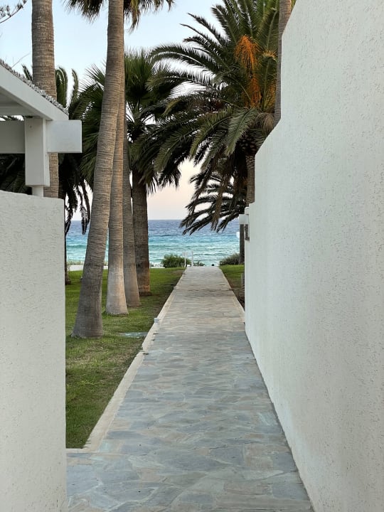 Gartenanlage Hotel Nissi Beach Resort
